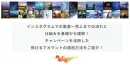 インスタでの集客〜売上の流れと仕組みを基礎から理解！伸びるアカウントの運用方法！